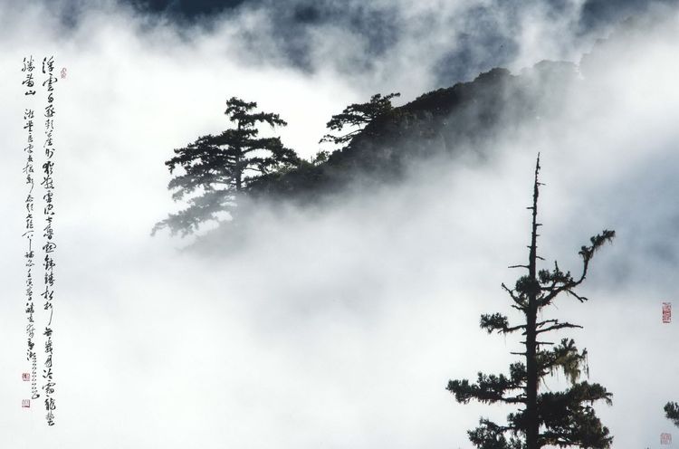 攝影作品並邀請藝術家林章湖為作品題詩。開南大學提供