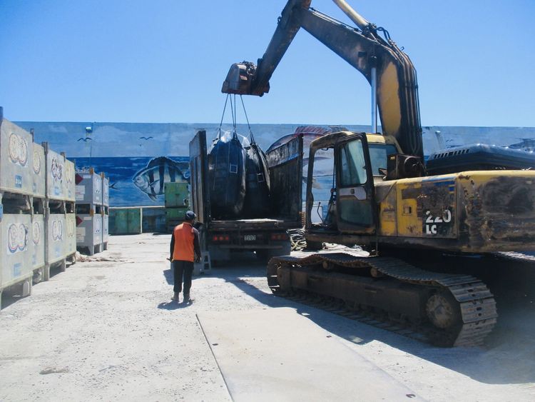 離島垃圾轉運，每年都得跟時間賽跑，避免東北季風來臨前，船班無法出航。台東縣府提供