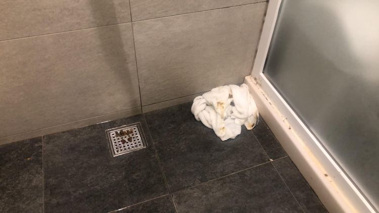 沒想到浴室排水孔上還有排泄物。翻攝《爆廢公社》