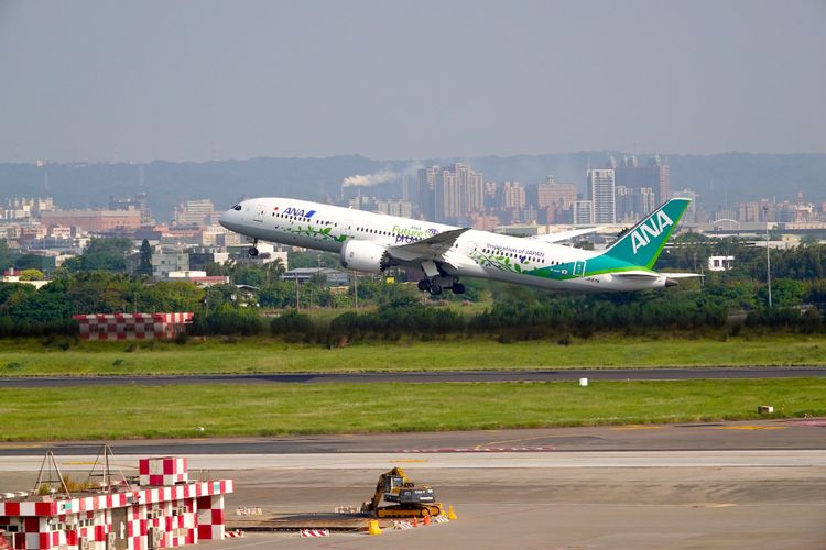 全日空彩繪機現身機場。施昂強攝