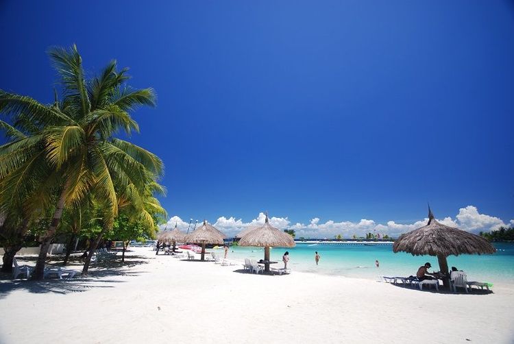 華航將於12/1開航「桃園-宿霧」每週一、二、四、六飛航。華航提供