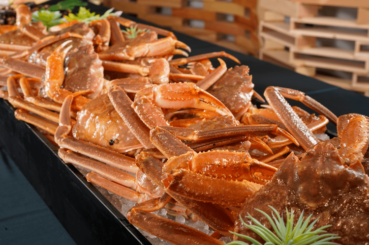 螃蟹中的極品「松葉蟹」，挑選現流活體海鮮。業者提供