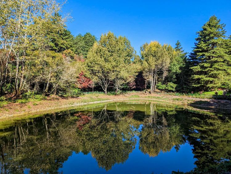 目前拍鴛鴦湖楓紅也不必排隊等候，很合適規劃一日遊行程。福壽山農場提供