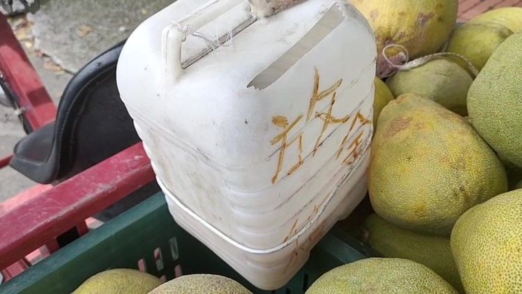 果農DIY廢棄水桶充當收銀機。魏嘉良攝