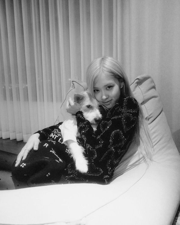 Rosé所代言的另一巴黎精品SAINT LAURENT，同樣對Hank寵愛備至。翻攝roses_are_rosie IG