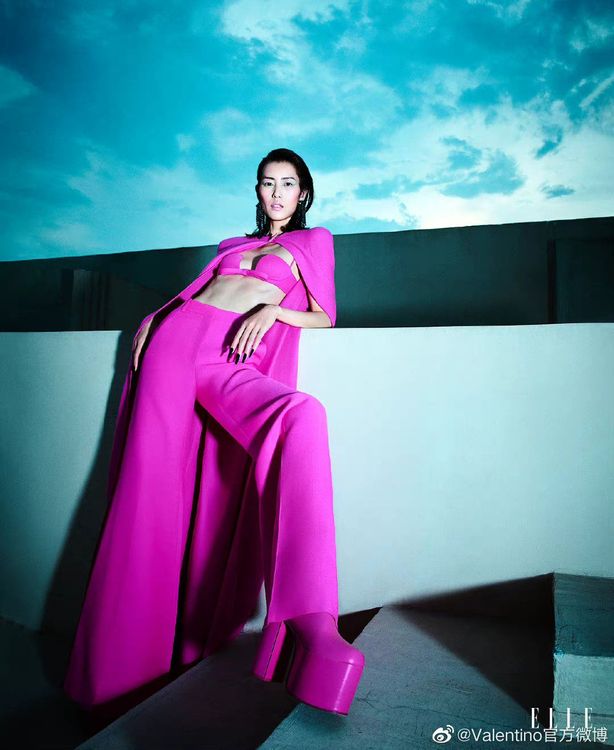 中國超模劉雯在拍攝雜誌時，選穿與鄭秀文同款的Pink PP造型。翻攝VALENTINO微博