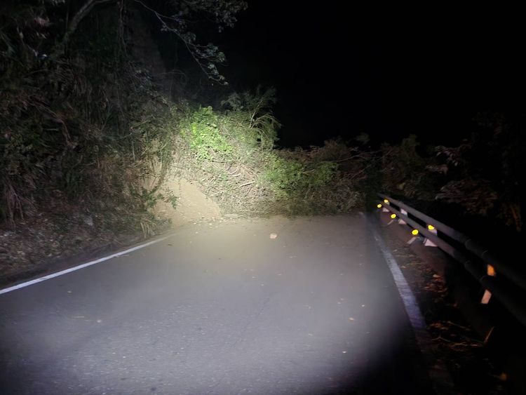 路樹倒塌導致多處停電。翻攝畫面