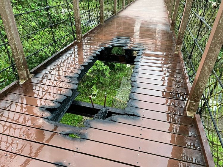 新竹縣知名景點內灣吊橋今年5月橋面才被燒出一個大洞。讀者提供