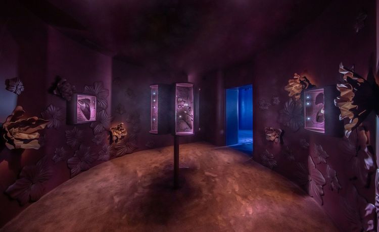 「Destiny」展間。品牌提供