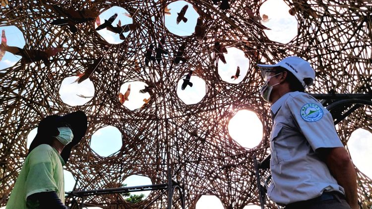 除了賞鷹，還可以到大灣著坪玩賞地景藝術。墾管處提供