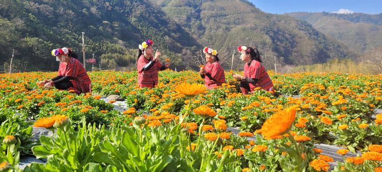 新竹縣將透過「綠色海岸」、「茶園橘香」、「黃金客庄」、「原鄉野趣」、「香草溫泉」等5大農遊軸帶概念，發展、推廣在地特色與產業休閒。新竹縣政府提供