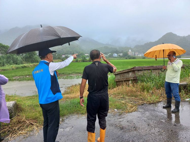 玉里鎮暴雨淹良田。玉里鎮公所提供