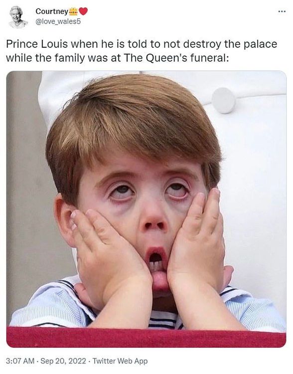 路易年紀小還不受控，搞笑表情讓外界莞爾。