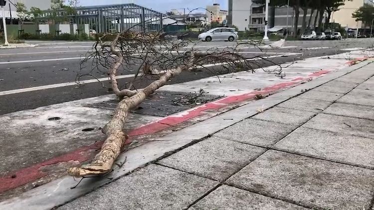 台東火車站周邊路樹倒塌。民眾提供