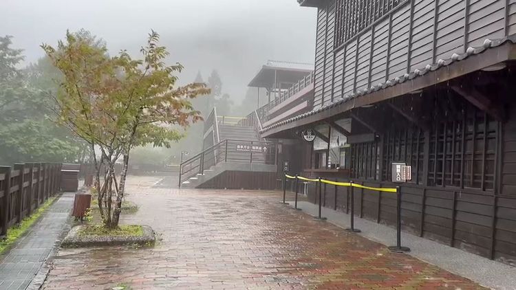太平山國家森林遊樂區雨勢持續。園方提供
