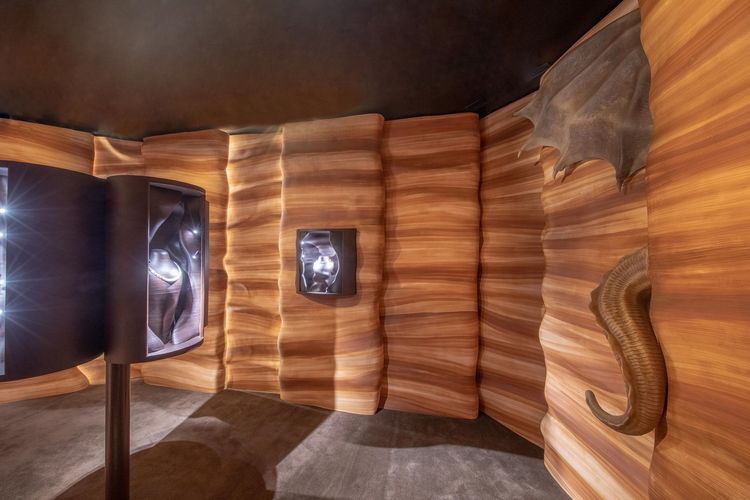 「Dragon」展間。品牌提供