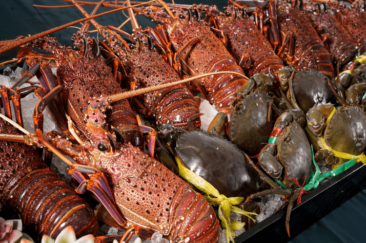 凡爾賽宮的天鵝絨的天鵝龍蝦與紅蟳。業者提供