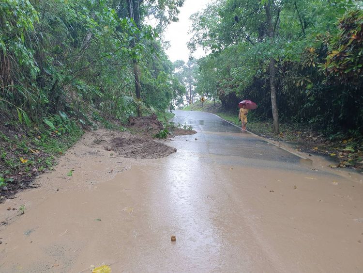 縣道193線41.6K及42.1K有坍方及樹木滑落情形。縣府提供