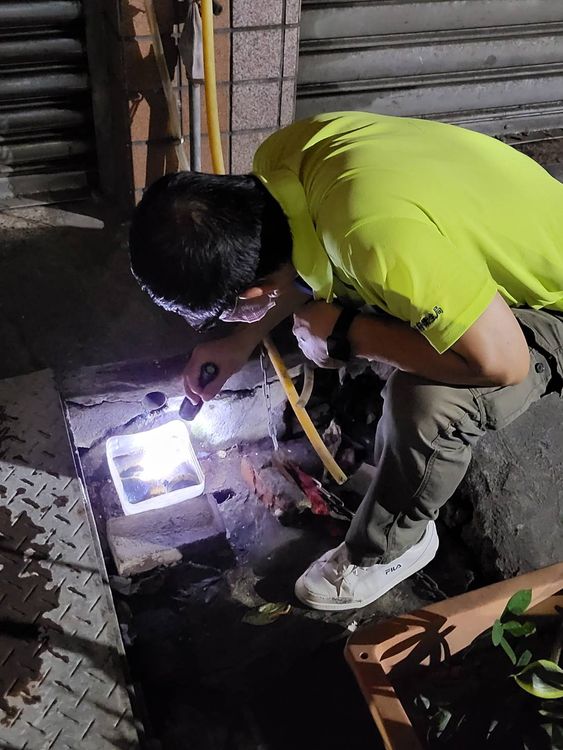 防疫人員檢查登革熱病媒蚊孳生源。市府提供