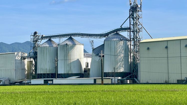 關山鎮農會外部可見稻米儲存筒倒塌，基座嚴重毀損。古和純攝