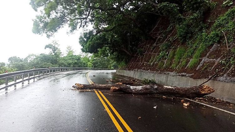 北宜公路68公里處路樹倒塌佔據路面，影響交通，警方前往清理，並維持交通。讀者提供