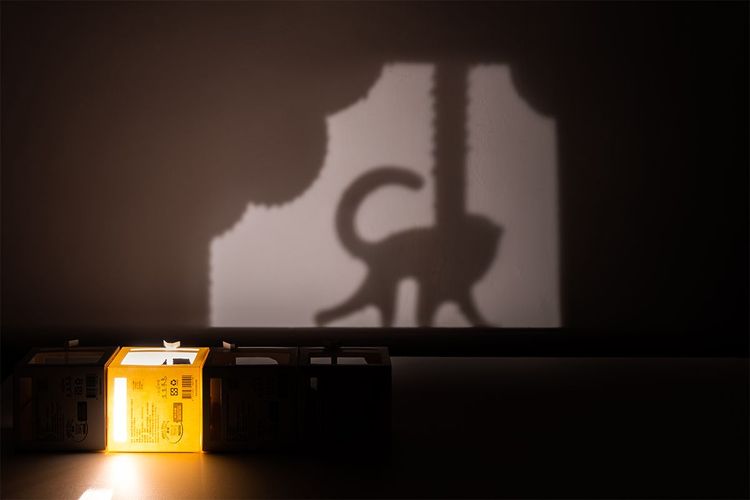 消費者可以將咖啡紙盒變身成「投影互動盒」，手機打燈就能看到動物在棲息地山林間穿梭，讓包裝成為喚醒環保及生態意識的亮點。業者提供