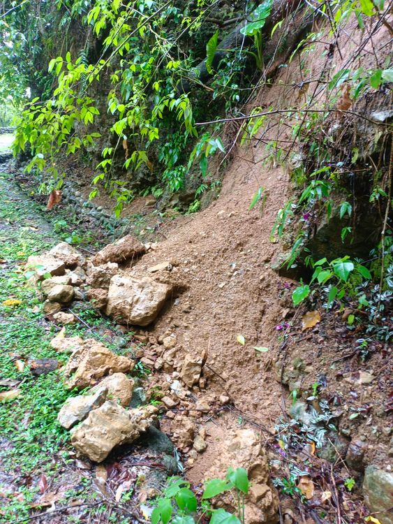 豪雨造成步道土石崩落。花蓮林管處提供