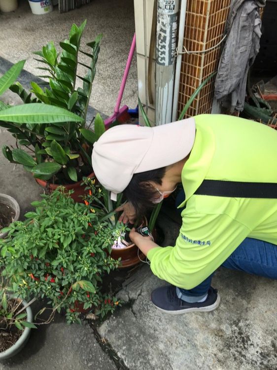 防疫人員檢查登革熱病媒蚊孳生源。市府提供