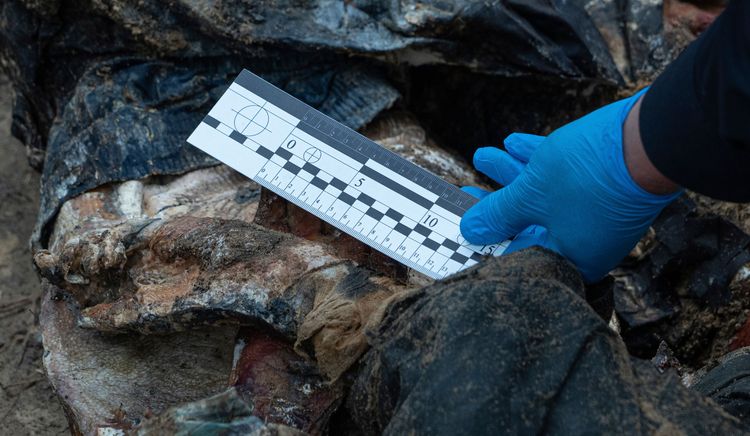 烏克蘭警方人員替亂葬崗裡的遺體拍照存證。美聯社