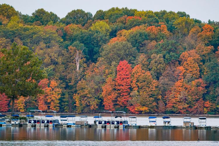 鷹溪公園是印地安那波里斯最大的公園，也是一個自然保護區。美聯社