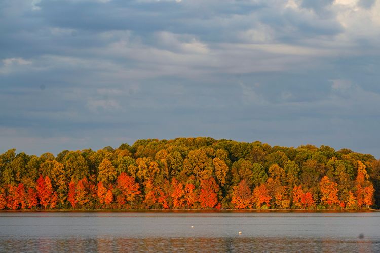 美國印第安那州的鷹溪公園湖畔景色。美聯社