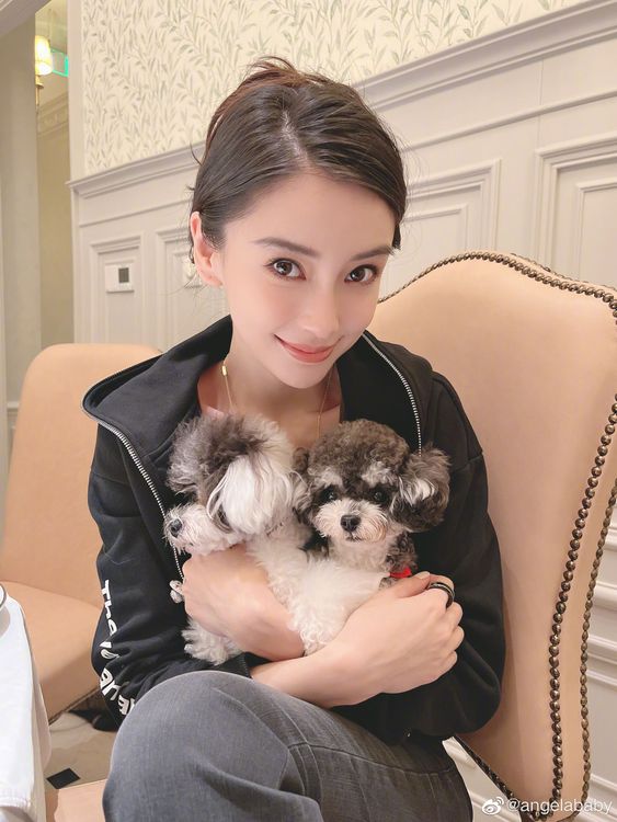 Angelababy抱著兩隻小小狗入鏡，人與狗都可愛。翻攝Angelababy微博