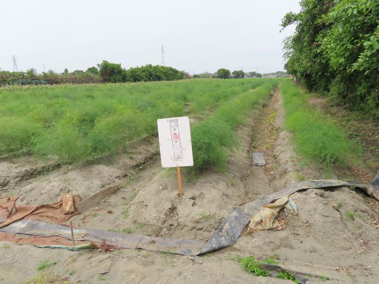 洪男名下有因繼承取得2筆面積合計422餘坪、公告現值總計逾百萬元的耕地。彰化分署提供