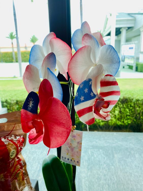 蘭花噴染二國國旗，象徵台美合作。王志弘攝