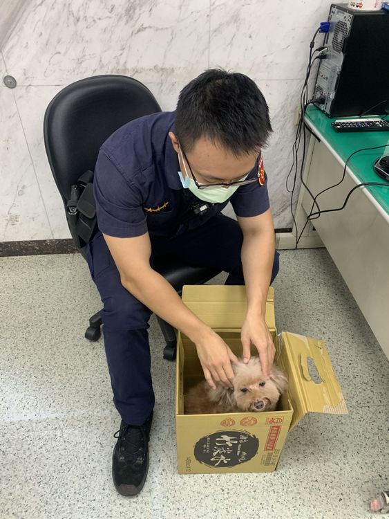 警員悉心照料迷途的紅貴賓。翻攝畫面