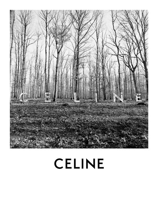 CELINE Bois Dormant夢林香水形象圖有著記憶餘韻氣息。品牌提供