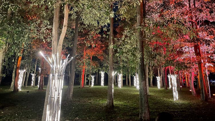 《金勵湯》， UxU studio「有用主張」。古和純攝