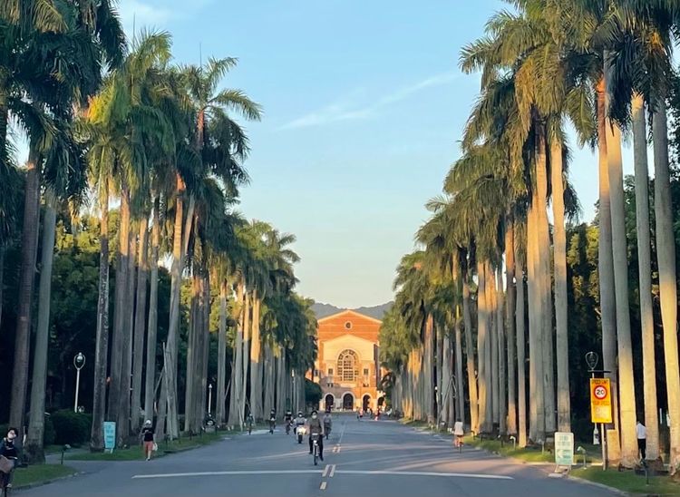 9位台大校長候選人中，共6人獲推薦成功進入下一階段。陳明萱攝