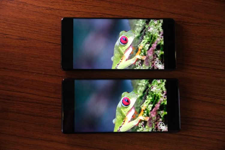 Pixel 7 Pro（上）與Pixel 6 Pro的螢幕顯示表現。陳志淵攝