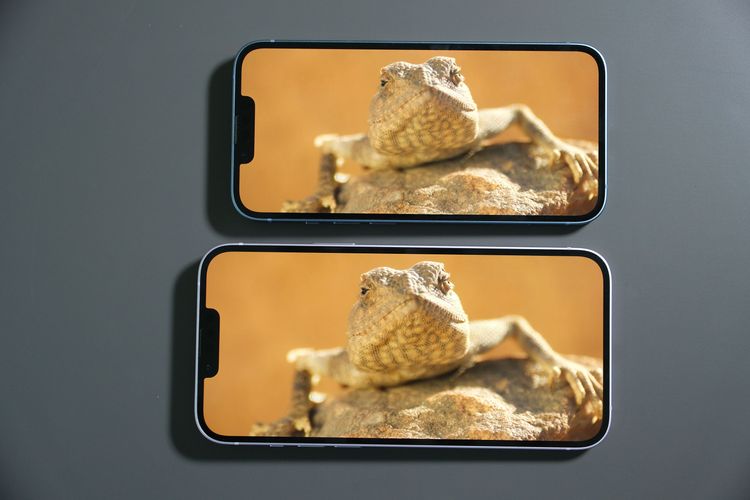 iPhone 14 Plus（下）對比iPhone 14的6.1吋顯示。陳志淵攝