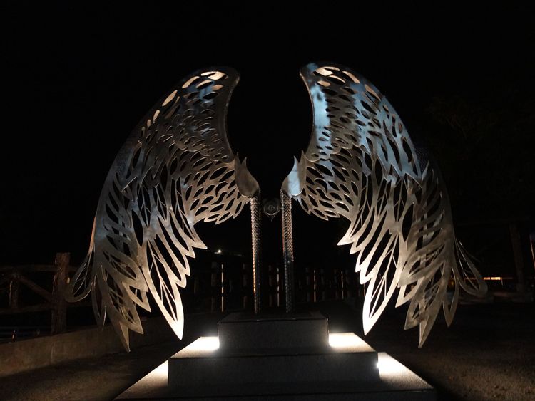 泰源鋼翼。泰源技訓所提供