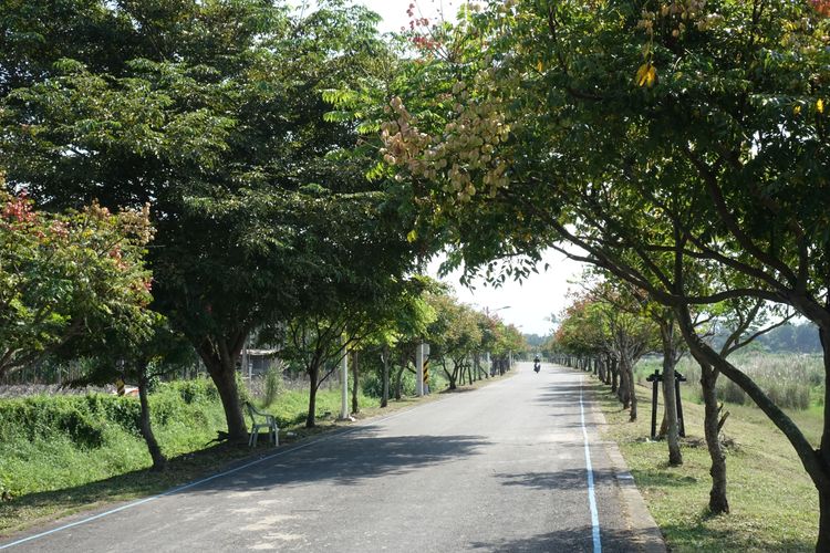 萬巒的河堤相當適合騎單車。羅琦文攝
