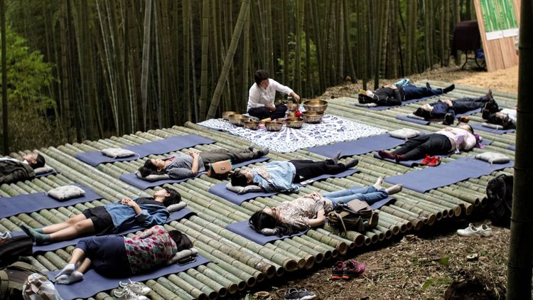 參與民眾提前體驗森林療癒課程，舒躺竹林感受自然之美。洪志遠提供