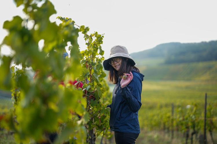 曾在日本體驗打工度假的Masa，來到法國農村體驗酒莊打工。田欣雲攝