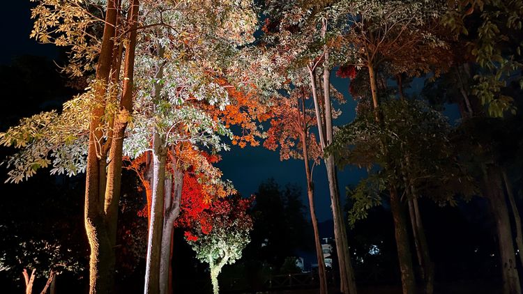 《金勵湯》， UxU studio「有用主張」。古和純攝