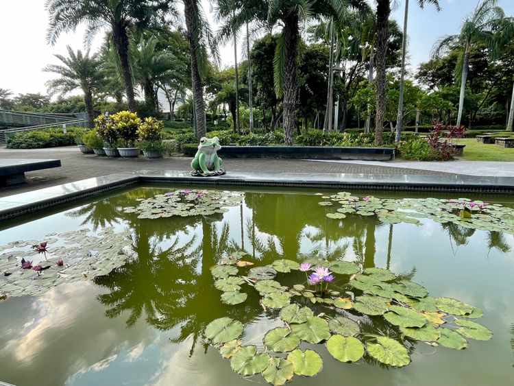 大坪頂有「高雄陽明山」之稱。圖為熱帶植物園。林佩萱攝