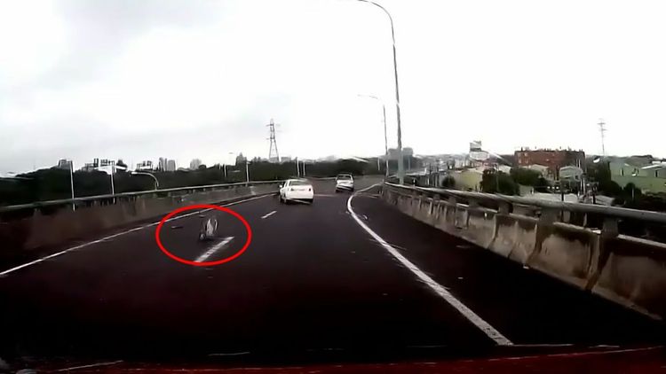 白車因自撞護欄，保險桿也掉落路面。翻攝自FB《重機車友❘各區路況天氣、資訊分享中心》