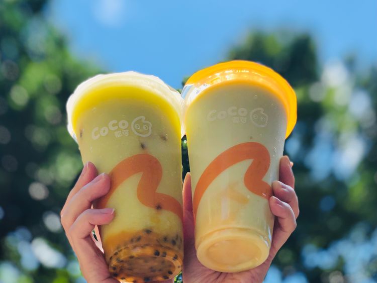 CoCo酪梨系列飲品正式回歸。業者提供