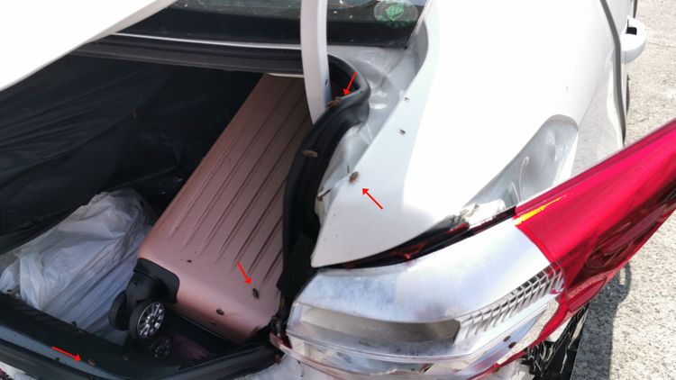 車上「小強」（紅箭頭處）四處亂竄。林泊志攝