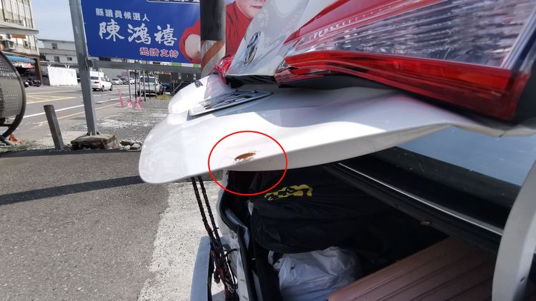 車上爬滿「小強」四處亂竄。林泊志攝